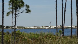 Western Lake on Scenic hwy 30a