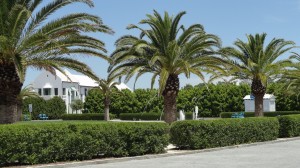 Luxurios Alys Beach