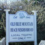 Blue Mountain Beach Homes for Sale