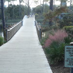 Watercolor Fl Foot Bridge