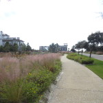 Watersound Beach Pedestrian path