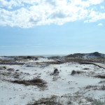 30a short sales and foreclosures