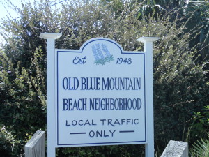 Blue Mountain Beach Homes for Sale